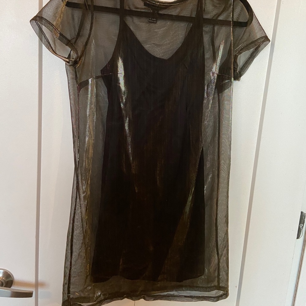 Sheer Dress with Black Slip
